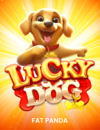 ท่องโลกเสี่ยงโชคไปกับ สล็อต เว็บ ช้าง