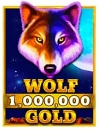 วิธีเล่นบ่อนคาสิโน กัมพูชา ที่นักเสี่ยงโชคห้ามพลาด